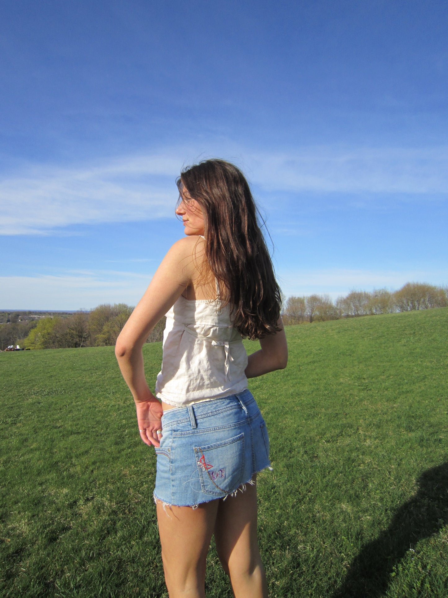 the lucie