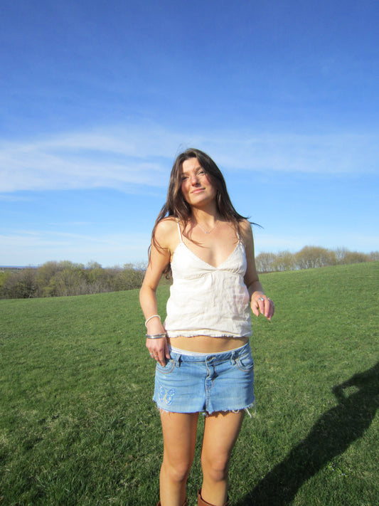 the lucie